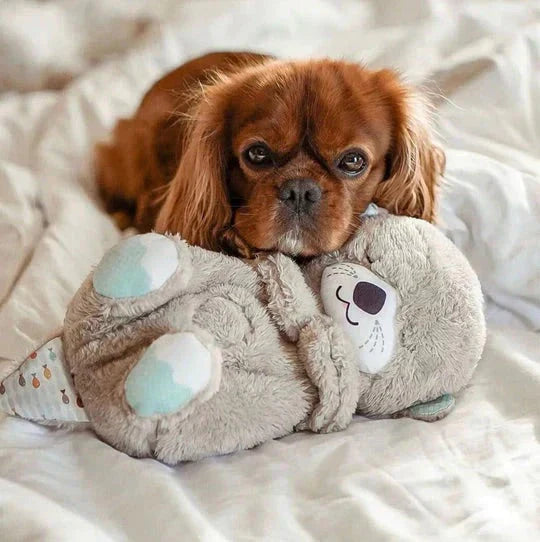 SnugOtter